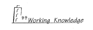 WORKING KNOWLEDGE logo