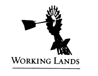 WORKING LANDS logo