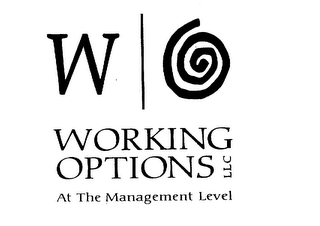 WORKING OPTIONS LLC AT THE MANAGEMENT LEVEL logo