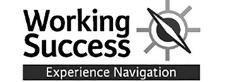 WORKING SUCCESS EXPERIENCE NAVIGATION logo