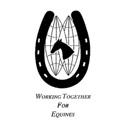 WORKING TOGETHER FOR EQUINES logo