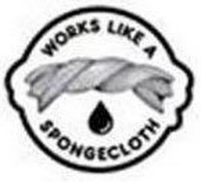 WORKS LIKE A SPONGECLOTH logo