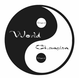 WORLD CHAMPION APPAREL logo