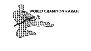 WORLD CHAMPION KARATE logo