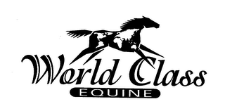 WORLD CLASS EQUINE logo