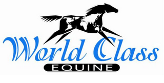 WORLD CLASS EQUINE logo