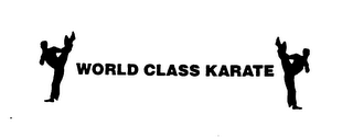 WORLD CLASS KARATE STUDIOS logo