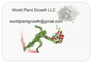 WORLD PLANT GROWTH LLC WORLDPLANTGROWTH@GMAIL.COM logo