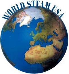 WORLD STEAM USA logo