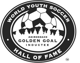 WORLD YOUTH SOCCER HALL OF FAME ADIRONDACK GOLDEN GOAL INDUCTEE logo