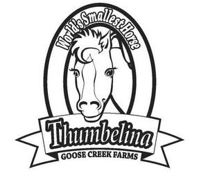 WORLD'S SMALLEST HORSE THUMBELINA GOOSE CREEK FARMS logo
