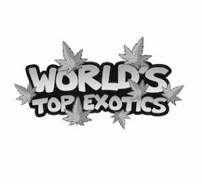 WORLD'S TOP EXOTICS logo