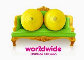 WORLDWIDE BREAST CANCER logo