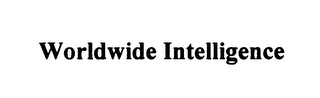 WORLDWIDE INTELLIGENCE logo