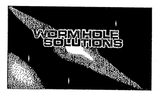 WORM HOLE SOLUTIONS logo