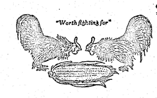 WORTH FIGHTING FOR logo