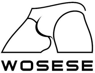 WOSESE logo