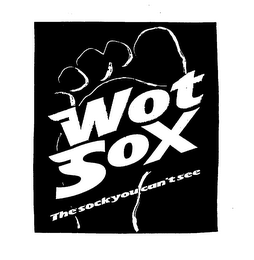 WOT SOX THE SOCK YOU CAN'T SEE logo