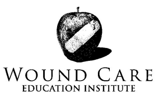 WOUND CARE EDUCATION INSTITUTE logo
