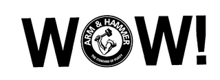 WOW! ARM AND HAMMER THE STANDARD OF PURITY logo