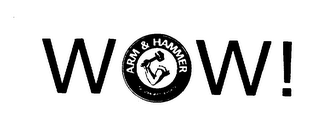 WOW! ARM & HAMMER THE STANDARD OF PURITY logo