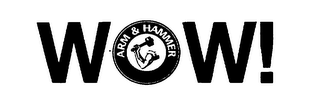 WOW! ARM & HAMMER THE STANDARD OF PURITY logo