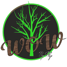 WOW BY ALP logo