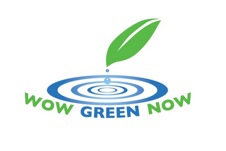 WOW GREEN NOW logo