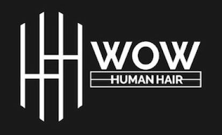 WOW HUMAN HAIR logo