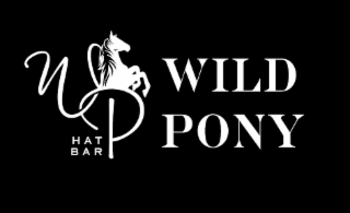 WP HAT BAR WILD PONY logo