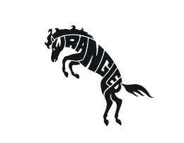 WRANGLER logo