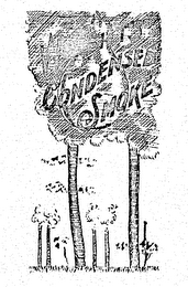 WRIGHT'S CONDENSED SMOKE logo