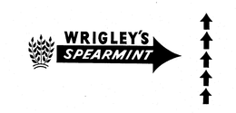 WRIGLEY'S SPEARMINT logo