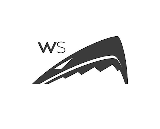 WS logo