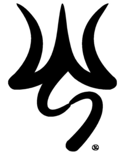 WS logo