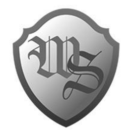 WS logo