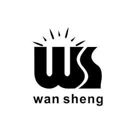 WS WANSHENG logo