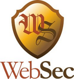 WS WEBSEC logo