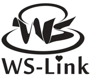 WS WS-LINK logo