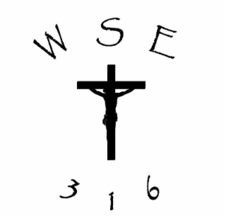 WSE 316 logo