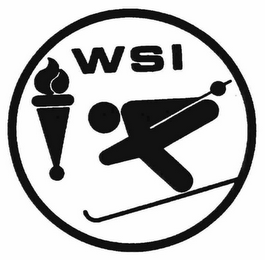 WSI logo