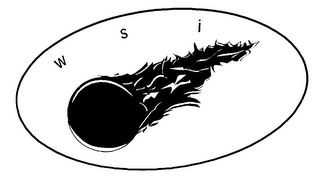 WSI logo