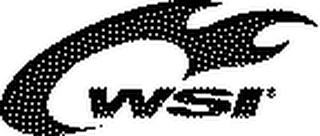 WSI logo