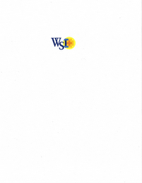 WSI logo