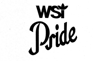 WSI PRIDE logo