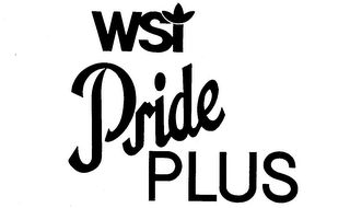 WSI PRIDE PLUS logo