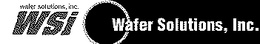 WSI WAFER SOLUTIONS,INC. WAFER SOLUTIONS, INC. logo