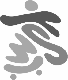 WST logo