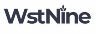 WSTNINE logo