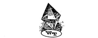 WT logo